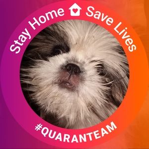 Meet your Posher, Kerri